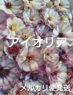 hiroakin様 リクエスト 3点 まとめ商品