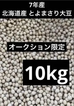 福岡県産 元気つくし（5kg×4袋）20kg 真空 【超メルカリ市】 - メルカリ