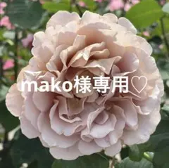 ru25nail..mako様 リクエスト 7点 まとめ商品