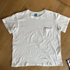 Item thumbnail for item c597038a-23fe-449c-8bde-91a639e233bf