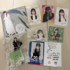 Item thumbnail for item 3f252504-ed88-4c9b-a12b-ce80c4870c63