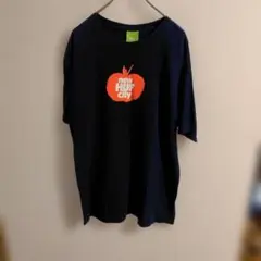 HUF Tシャツ new HUF City ネイビー