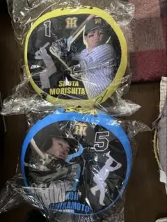 阪神タイガース 森下翔太 近本光司 クッション 2点セット 阪神タイガース 森下翔太 近本光司 クッション 2点セット - メルカリ