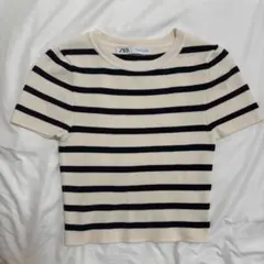 ZARA 半袖 ストライプ 半袖ニット Sサイズ クロップド丈 ミニT