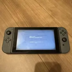 Nintendo Switch グレー 本体 付属品付き