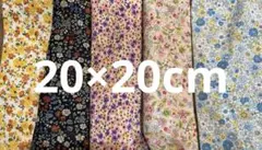 Item thumbnail for item 8dd87402-b3c4-4f55-9f5c-8a7d802fda89