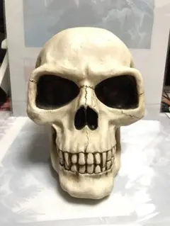 2025年最新】骸骨 貯金箱の人気アイテム - メルカリ