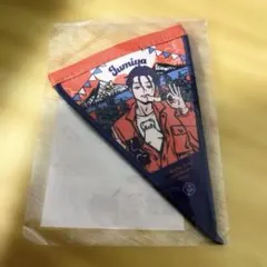 即購入大歓迎⭕️ カリスマ 伊藤ふみや ペナント