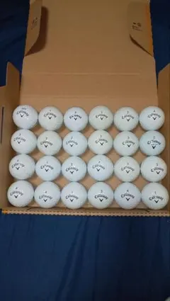 ロストボール アクセサリー