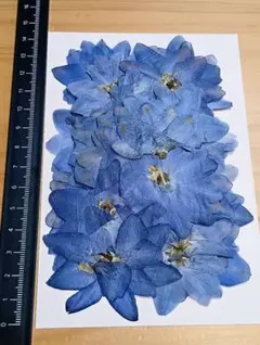 Item thumbnail for item 85db5e51-5e1f-4e8d-b93c-6d4b3042726b