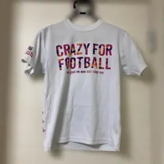 Item thumbnail for item 6c143bae-42cf-45b6-906d-7164f21867a7