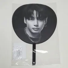 日本限定 BTS うちわ イメージピケット V テヒョン テテ アリラン