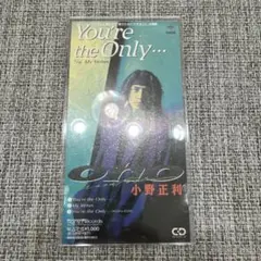 小野正利/ユーアー・ジ・オンリー