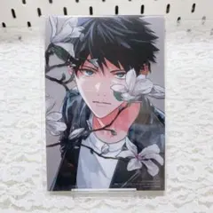 シェリプラス 2024年 11月号 キヅナツキ 上ノ山立夏 クリアカード ③