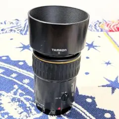 Item thumbnail for item 128a08cd-ebcf-4f97-aae9-eef3b508bc12