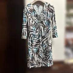 トミーバハマのサムネイル