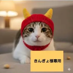 ※きんぎょ様専用※羊毛フェルトで作る車※