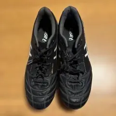 ASICS DS LIGHT x-fly5