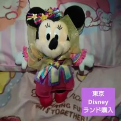 ディズニーランド2017Days❤ミニーマウス❤2点