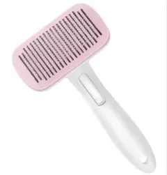 Item thumbnail for item 75a00cce-34fc-4f1a-a170-59f56f5d4c09