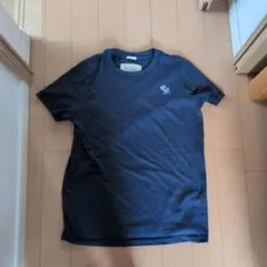 Abercrombie&Fitchアバクロ Tシャツ
