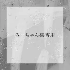 みーちゃん 様専用