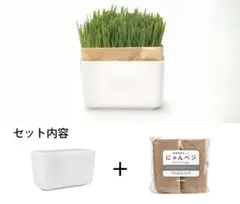 Item thumbnail for item f7900629-a69a-48c2-b3ab-3097d48d24e1