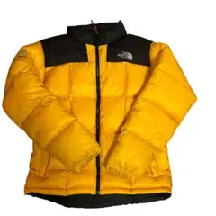 THE NORTH FACE SUMMIT SERIES ダウンジャケ