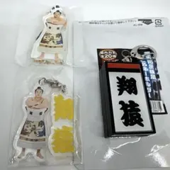 Item thumbnail for item e06135bb-61f7-44f5-9027-cbb8b67c500d