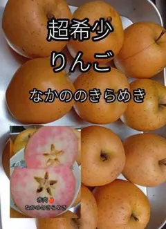 楽天市場】【ふるさと納税】【希少赤い果肉!数量限定】なかのの 