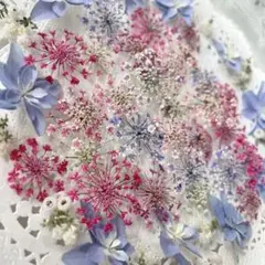 No.103 小花のドライフラワー セット