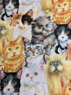 猫柄 生地 布地