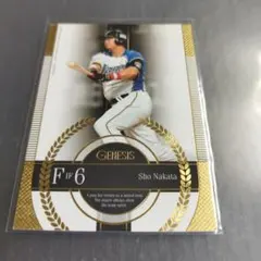 Item thumbnail for item 5bb79af6-89fc-4273-8d31-69799b5acadf