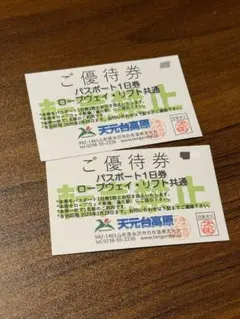 天元台高原、ロープウェイ・リフト共通1日券、2枚 ロープウェイ・リフト | GREENseason