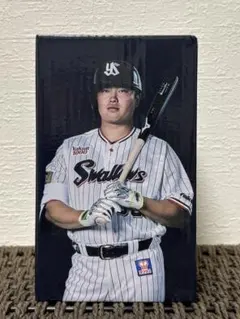 東京ヤクルトスワローズ☆ボブルヘッドセット☆新品未使用☆山田哲人☆村上宗隆 2025年最新】ヤクルト 山田 ボブルヘッドの人気アイテム - メルカリ