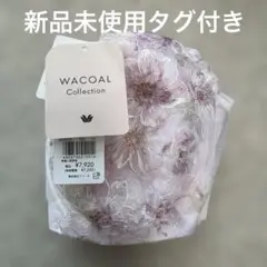 WACOAL ハグするブラ　花柄刺繍 ブラジャー