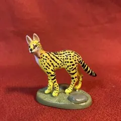 カロラータ　サーバルキャット