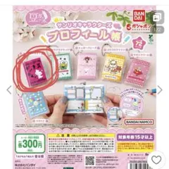 サンリオ　プロフィール帳　ガチャ　チャーミーキティ