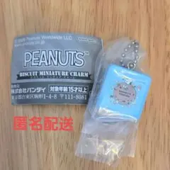 PEANUTS スヌーピー ビスケットミニチュアチャーム