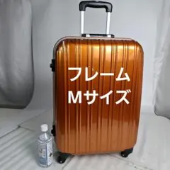 Item thumbnail for item 471b669a-df44-43d4-8ff3-f244a6f01e4f