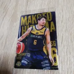 Item thumbnail for item 5556d3bf-7136-431d-bddd-a448d092f97f