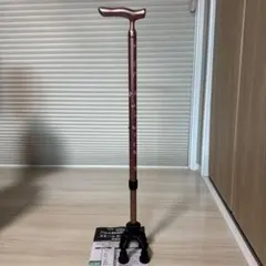 Item thumbnail for item bac8c314-3193-48f8-9410-5eb02fae9b5d