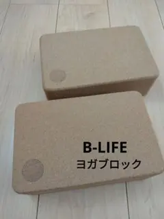 Item thumbnail for item 328c3ea4-9fc5-455a-9971-c720e09e0db4