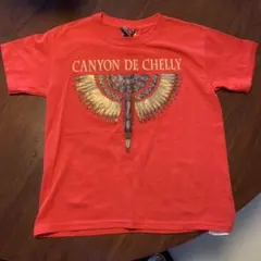 アメリカ　CANYON DE CHELLY Tシャツ Sサイズ