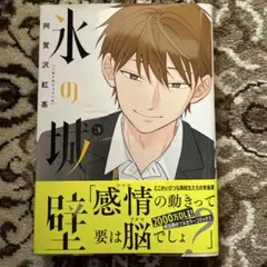 氷の城壁 10巻 初版 - メルカリ