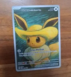 早い者勝ち❗️イーブイ　星月夜　海外限定