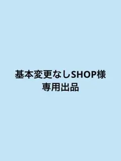 基本変更なしSHOP 様 専用