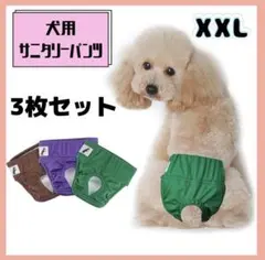 Item thumbnail for item b785700e-6812-41cd-a9fb-22aadcb79fa0