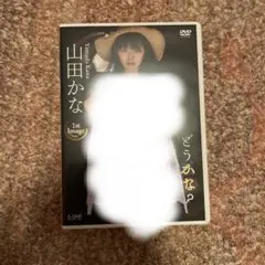 山田かな 1st Image DVD