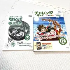 2025 4月〜2026 3月　チャレンジ4年生　未使用 11ヶ月分 2026年最新】チャレンジ 4年生 4月号の人気アイテム - メルカリ